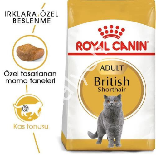 Royal Canin British Shorthair Yetişkin Kedi Maması 2kg