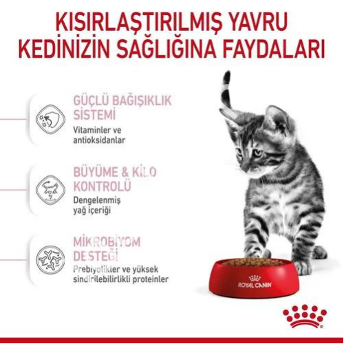 Royal Canin Kitten Sterilised Kısırlaştırılmış Yavru Kedi Maması 2 kg