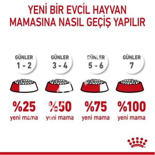 Royal Canin Kitten Sterilised Kısırlaştırılmış Yavru Kedi Maması 2 kg