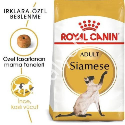Royal Canin Siamese38 Yetişkin Kedi Maması 2 kg