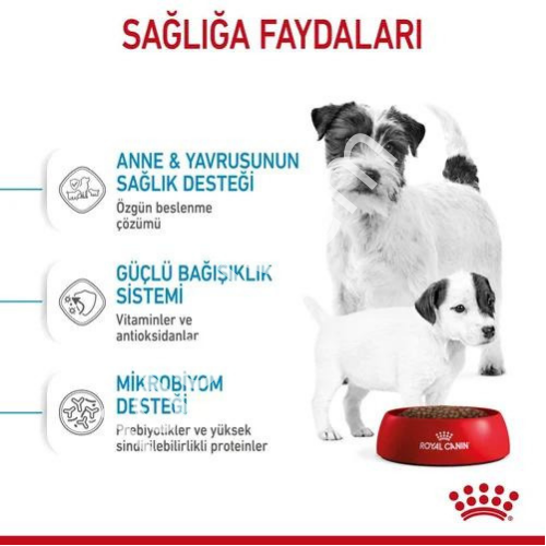 Royal Canin Mini Starter Mother&Babydog Yavru Köpek Maması 4kg