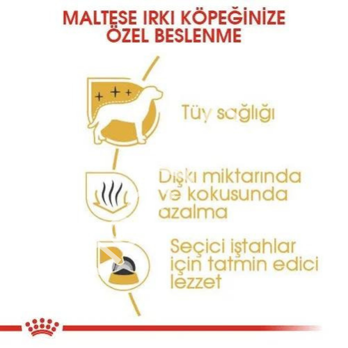 Royal Canin Maltese Terrier Yetişkin Köpek Maması 1,5kg