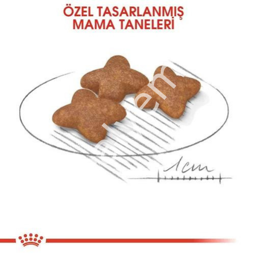 Royal Canin Mini Küçük Irk Yetişkin Köpek Maması 2 kg