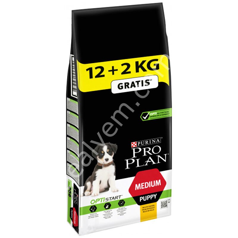 Pro Plan Puppy Medium Tavuklu Yavru Köpek Maması 12kg + 2kg HEDİYE!