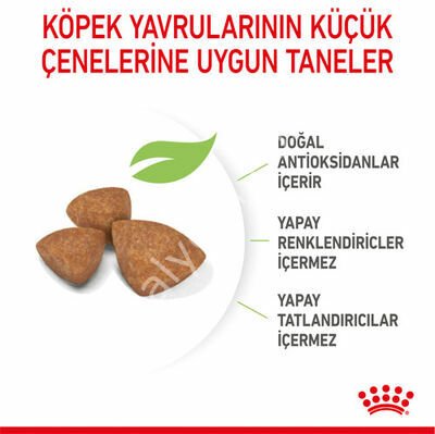 Royal Canin X-Small Küçük Irk Yavru Köpek Maması 1,5 kg