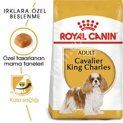 Royal Canin Cavalier King Charles 27 Yetişkin Köpek Maması 1,5 kg