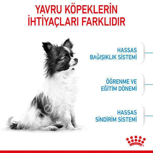 Royal Canin X-Small Küçük Irk Yavru Köpek Maması 3kg