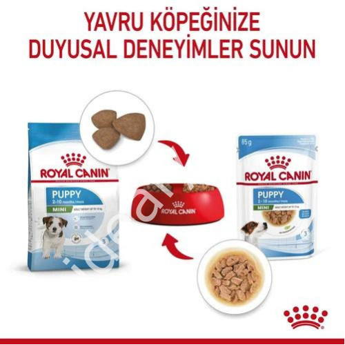 Royal Canin Küçük Irk Yavru Köpekler İçin Yaş Mama 85gr