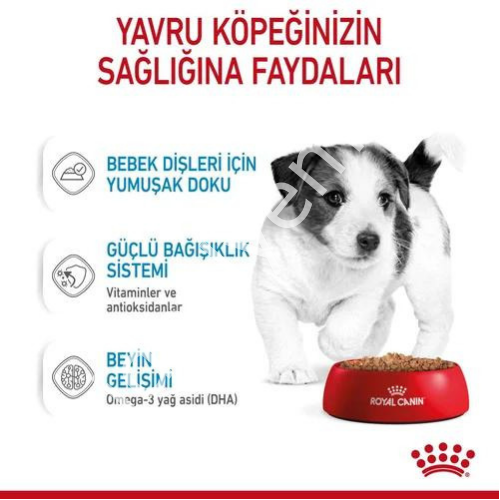 Royal Canin Küçük Irk Yavru Köpekler İçin Yaş Mama 85gr