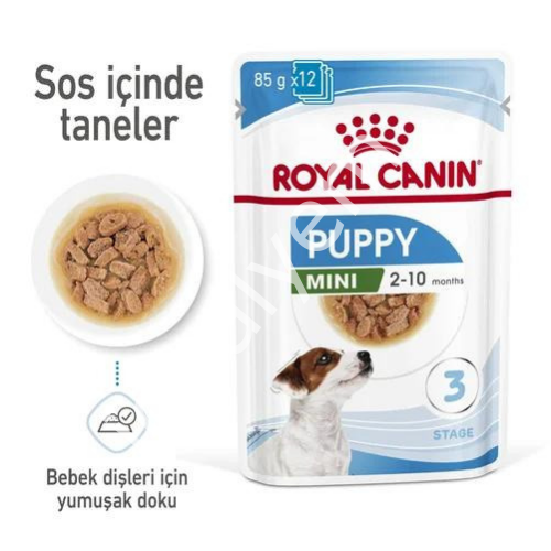 Royal Canin Küçük Irk Yavru Köpekler İçin Yaş Mama 85gr