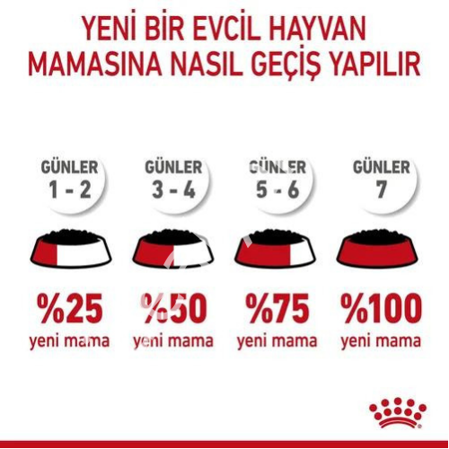 Royal Canin Küçük Irk Yavru Köpekler İçin Yaş Mama 85gr