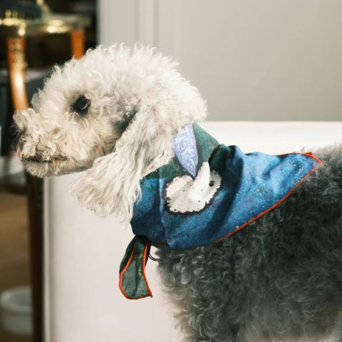 Party Bandana
