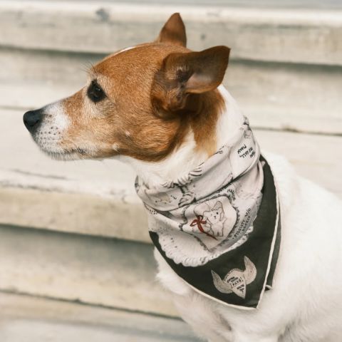 Ruff Bandana