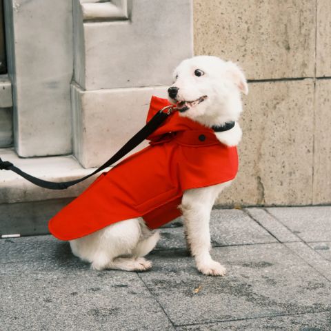 Pluvio Kırmızı Yağmurluk