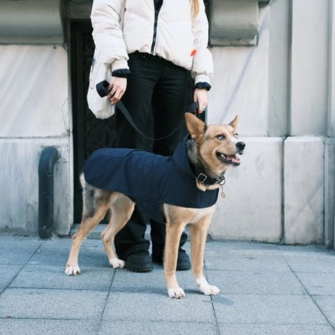 Pluvio Navy Raincoat