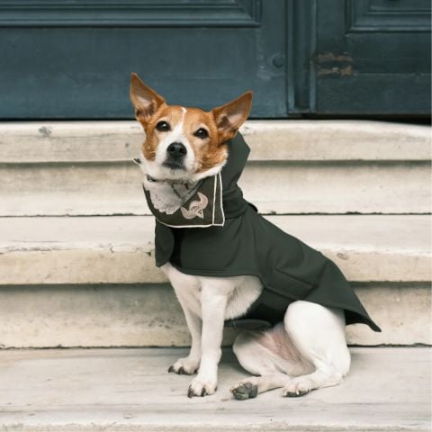 Pluvio Green Raincoat