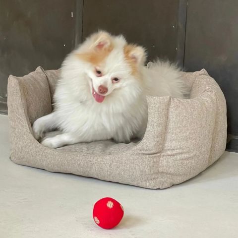 Polka Dot El Yapımı Oyuncak