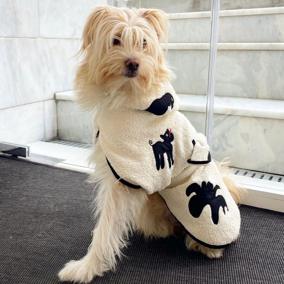 Umbra Siyah Köpek Bornozu
