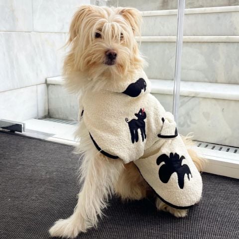Umbra Siyah Köpek Bornozu