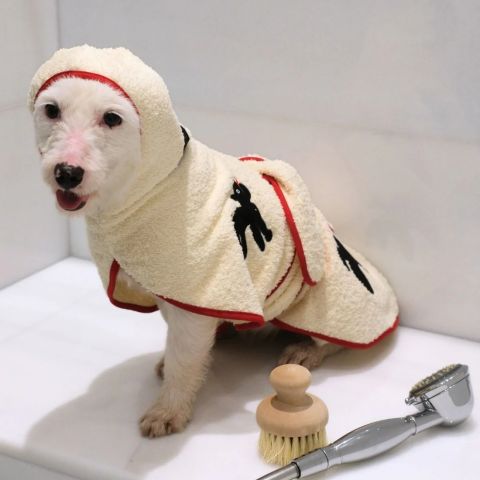 Umbra Kırmızı Köpek Bornozu