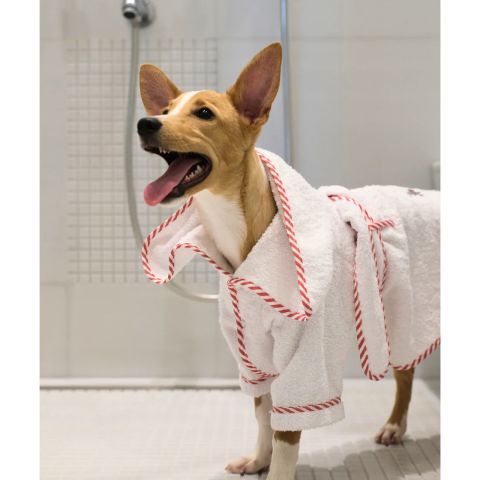 Par Avion Dog Bathrobe