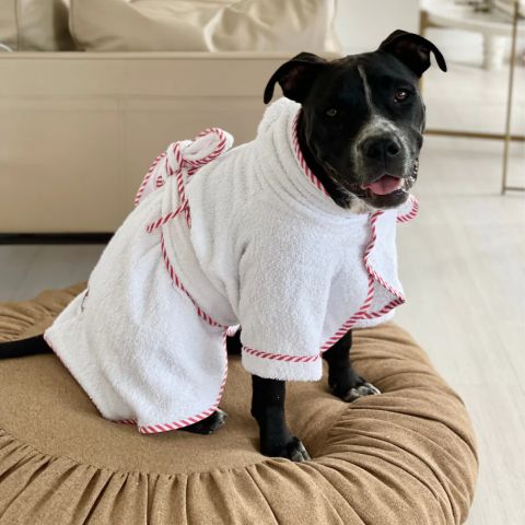 Par Avion Dog Bathrobe