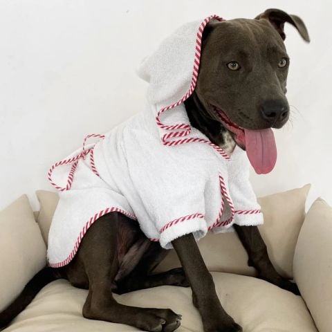 Par Avion Dog Bathrobe