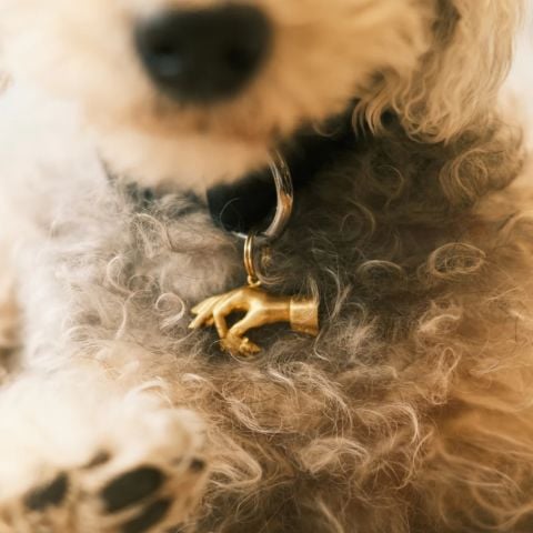 Lucky Charm Mouse In The House