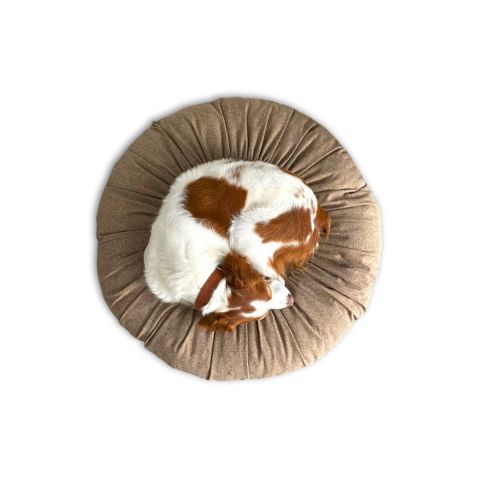 Toque Kedi Köpek Yatağı