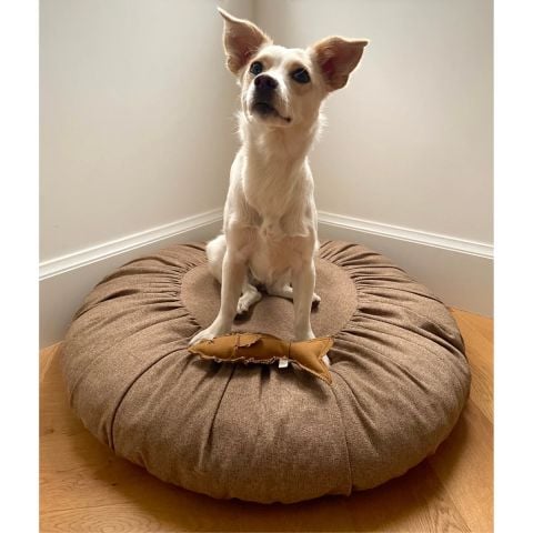 Toque Kedi Köpek Yatağı