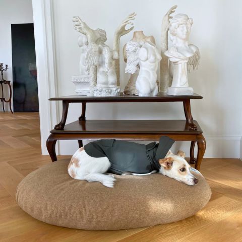 Budu Kedi Köpek Yatağı
