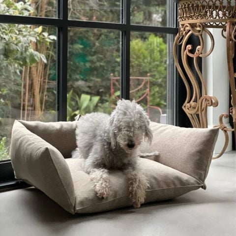 Cornette Kedi Köpek Yatağı