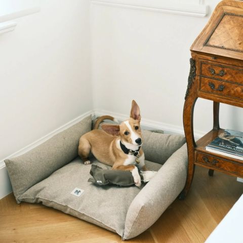 Cornette Kedi Köpek Yatağı