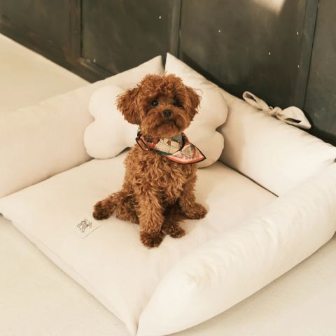Cornette Kedi Köpek Yatağı