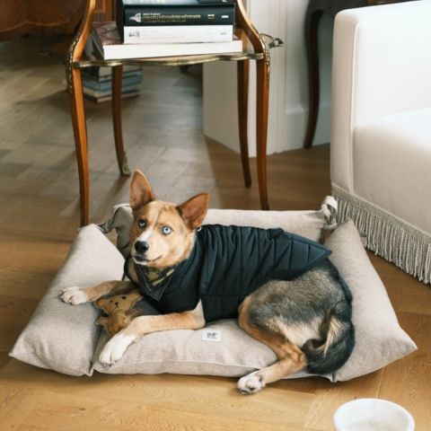 Cornette Kedi Köpek Yatağı