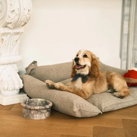 Cornette Kedi Köpek Yatağı