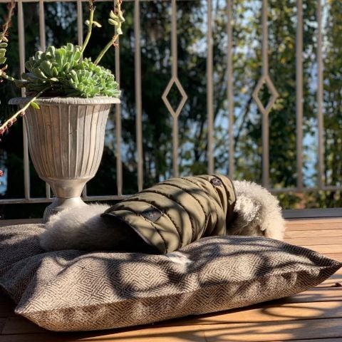 Akide Kedi Köpek Yatağı