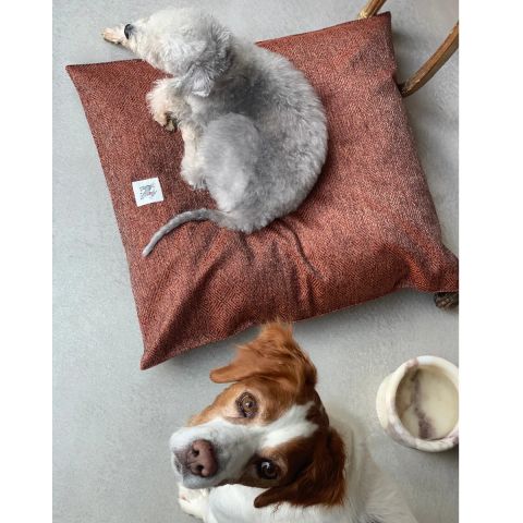 Akide Kedi Köpek Yatağı