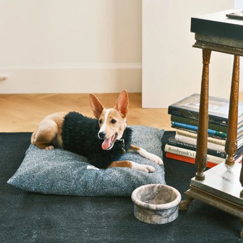 Akide Kedi Köpek Yatağı