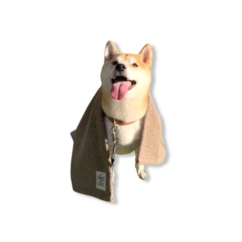 Sandy Kedi Köpek Battaniyesi