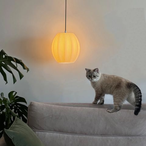 RHOIA GLOBE PENDANT LAMP