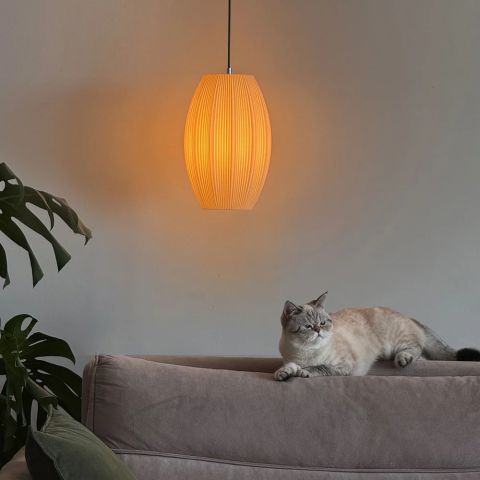 Rhoia Tube Sarkıt Lamba