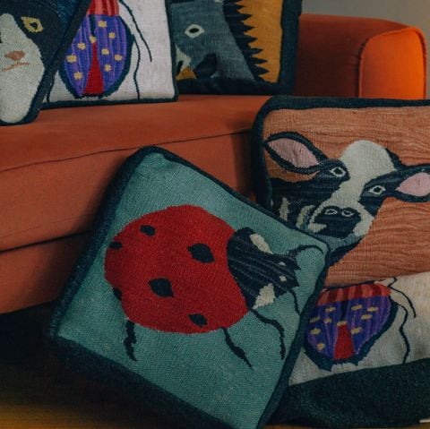 Ladybug Hand Woven Cushion