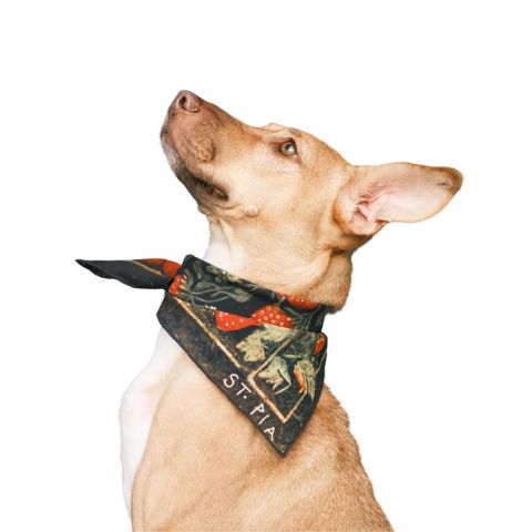 Berry BFF Bandana