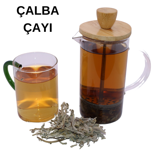 ÇALBA ÇAYI