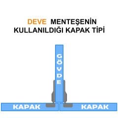 Samet Mega Deve Tip Menteşe 50 Adet Mobilya Dolap Kapak Tas Menteşesi