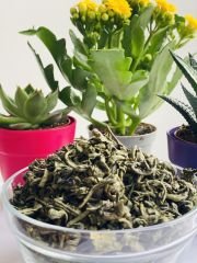 Organik Yeşil Çay 500 gr