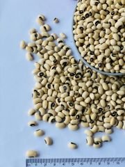 Beyaz Fasülye 1 Kg