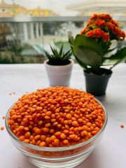 Kırmızı Mercimek 1 Kg
