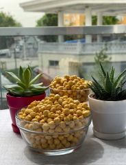 Organik Sarı Leblebi 500 gr